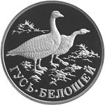 1 рубль Россия 1998 год Красная книга: Гусь-белошей